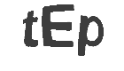 تجارت جهانی فردوسی